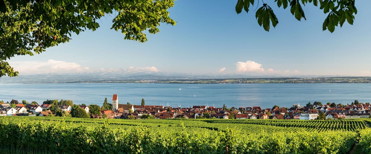 A vineyard with rows of grapevines, a town with red-roofed buildings, and a lake with boats.