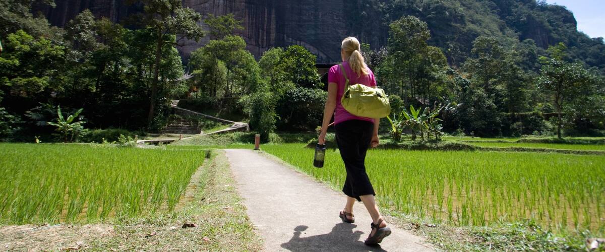 A woman walking on a path through a rice field with a mountain in the background.