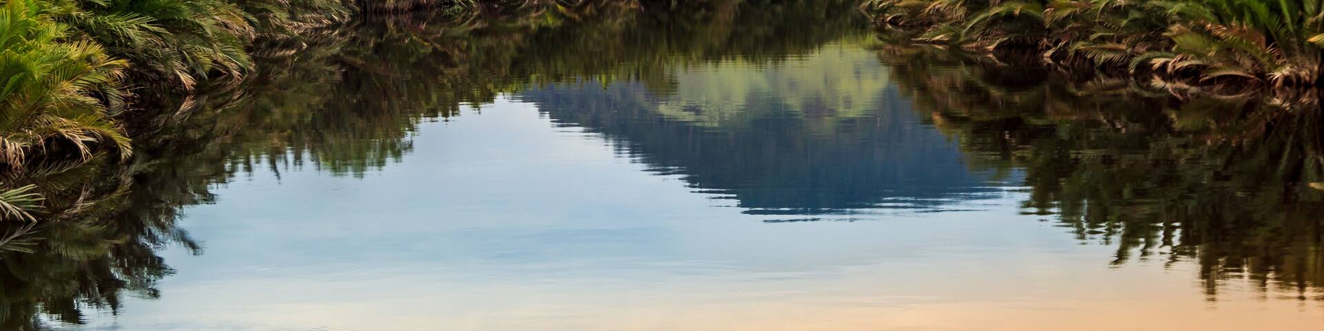 Scenic view of wild tropical jungle on the Borneo island, Indonesia. Kalimantan, Shutterstock ID 702788509, Purchase Order: SP-1985, Order Number: SP-1985 Malaysia Tourism Board_June-December 2019, Cl