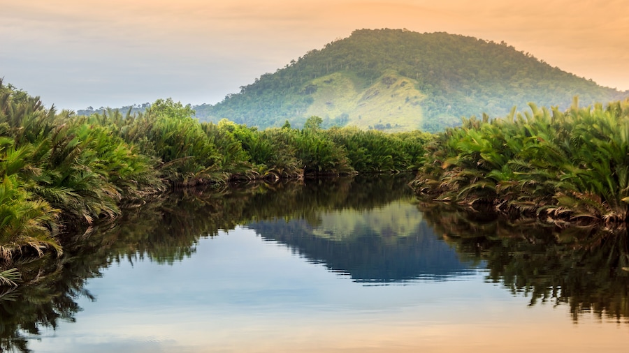 Scenic view of wild tropical jungle on the Borneo island, Indonesia. Kalimantan, Shutterstock ID 702788509, Purchase Order: SP-1985, Order Number: SP-1985 Malaysia Tourism Board_June-December 2019, Cl