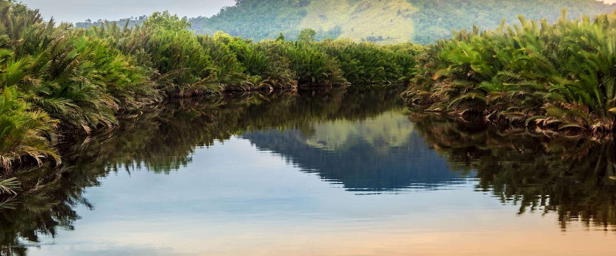 A calm river reflecting lush greenery and a hill in the background.