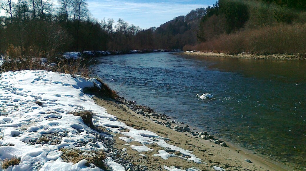 Beachtlich: HandyFoto Nokia C5