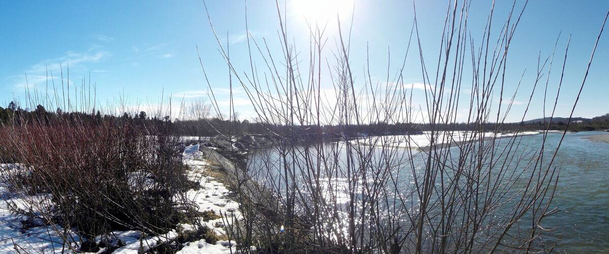 A river with snow-covered banks and trees in the background.