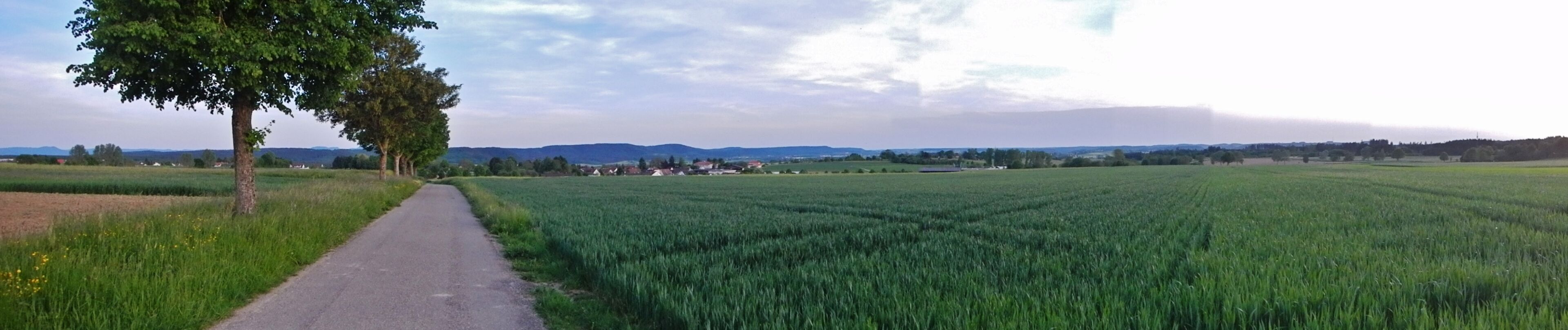 Blick Richtung Empfingen