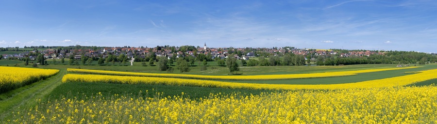 Panoramalandschaft eines ländlichen Ortes mit Wiesen und blühenden Rapsfeldern im Frühling, aufgenommen in Empfingen, Baden-Württemberg, Deutschland
