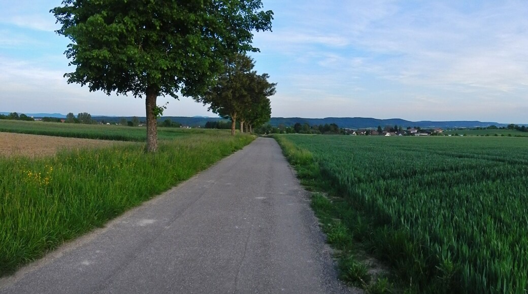 Blick Richtung Empfingen