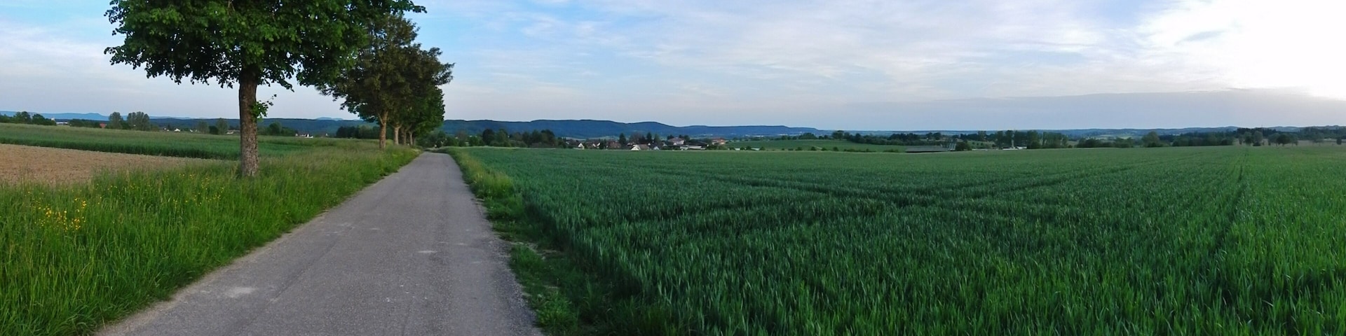 Blick Richtung Empfingen