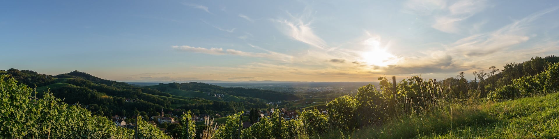 Panorama of golden sunset over beautiful landscape with the wine fields of the Black Forest, Sasbachwalden, Germany