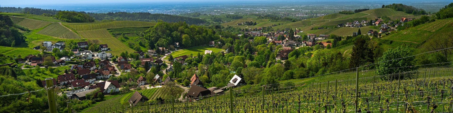 View from Sasbachwalden over the Rhine valley_Baden Wuerttemberg, Germany.