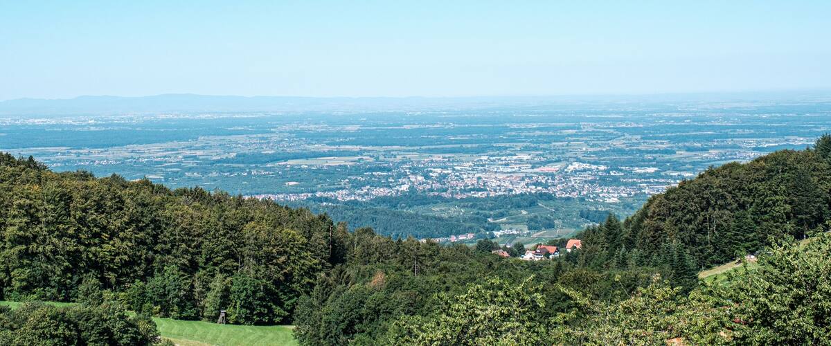 A mountainous landscape with dense forests and a view of a town in the valley below.
