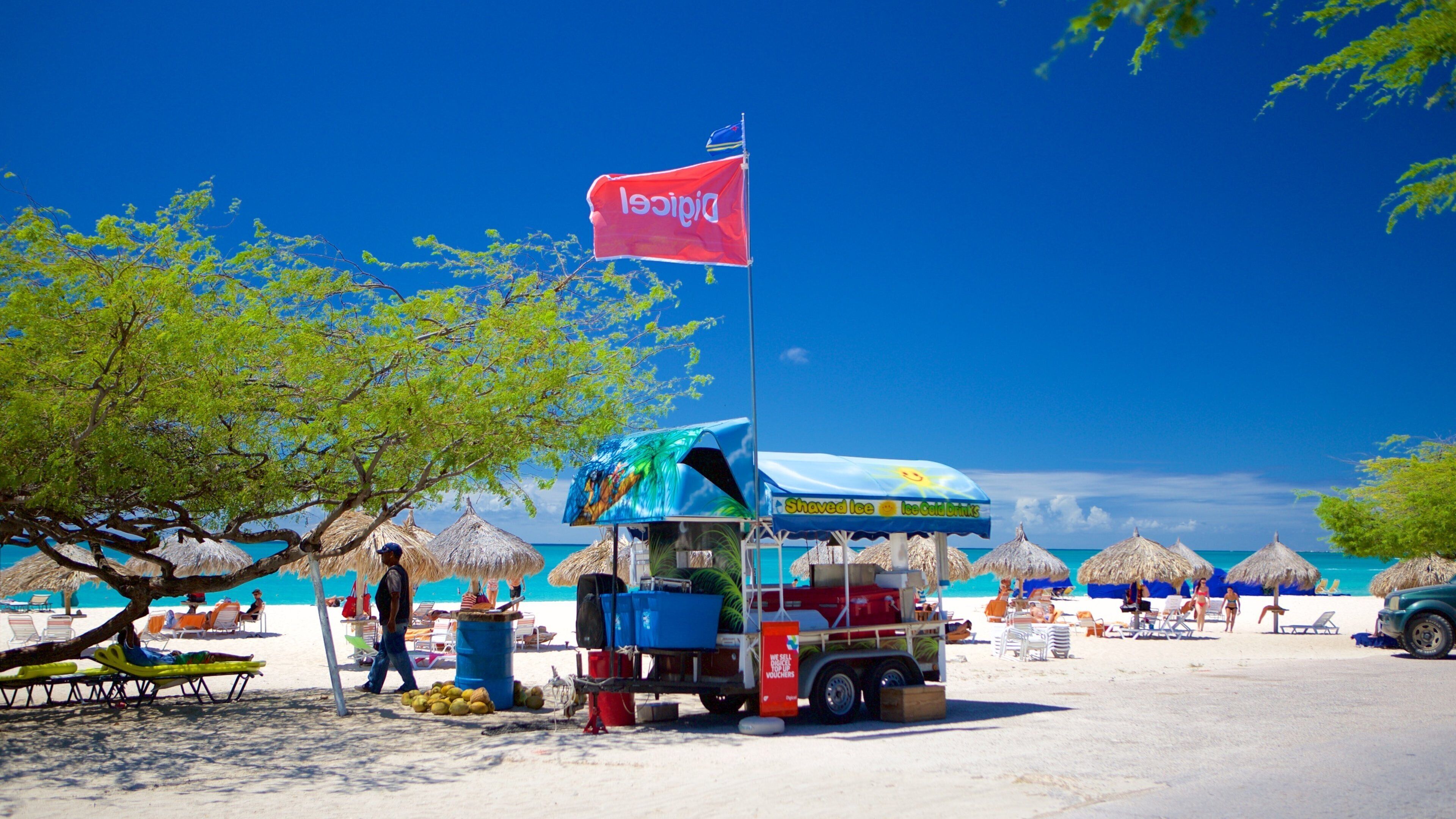 Eagle Beach showing a sandy beach