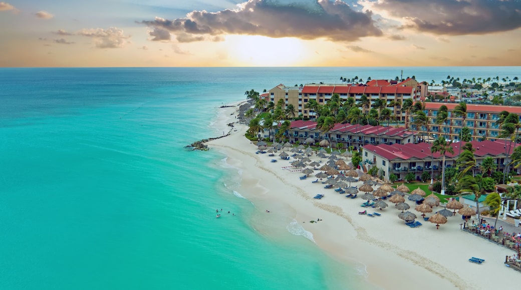 Aerial from Manchebo beach on Aruba island in the Caribbean