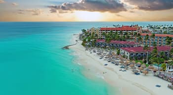 Aerial from Manchebo beach on Aruba island in the Caribbean