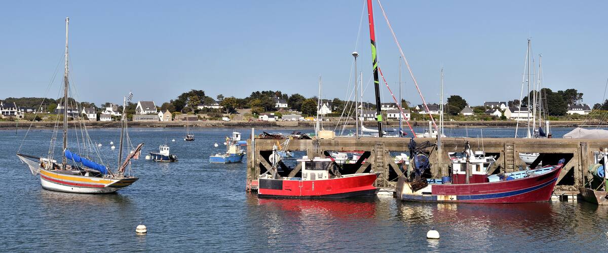 A harbor with several boats docked at a pier, surrounded by houses and trees.
