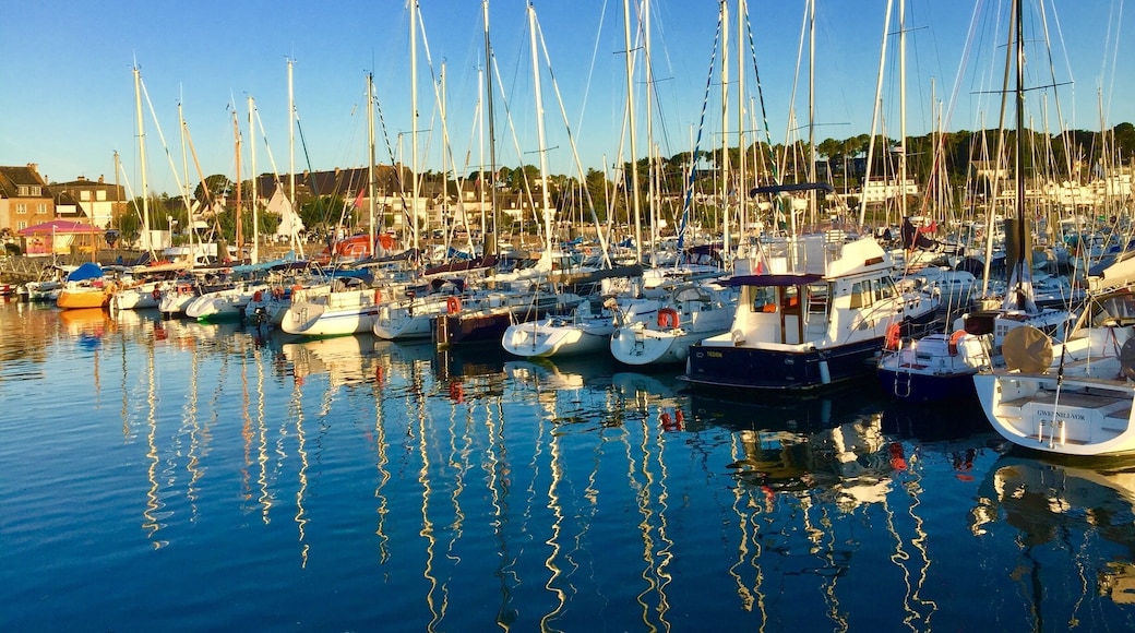 The smart harbour with its ranks of yachts.