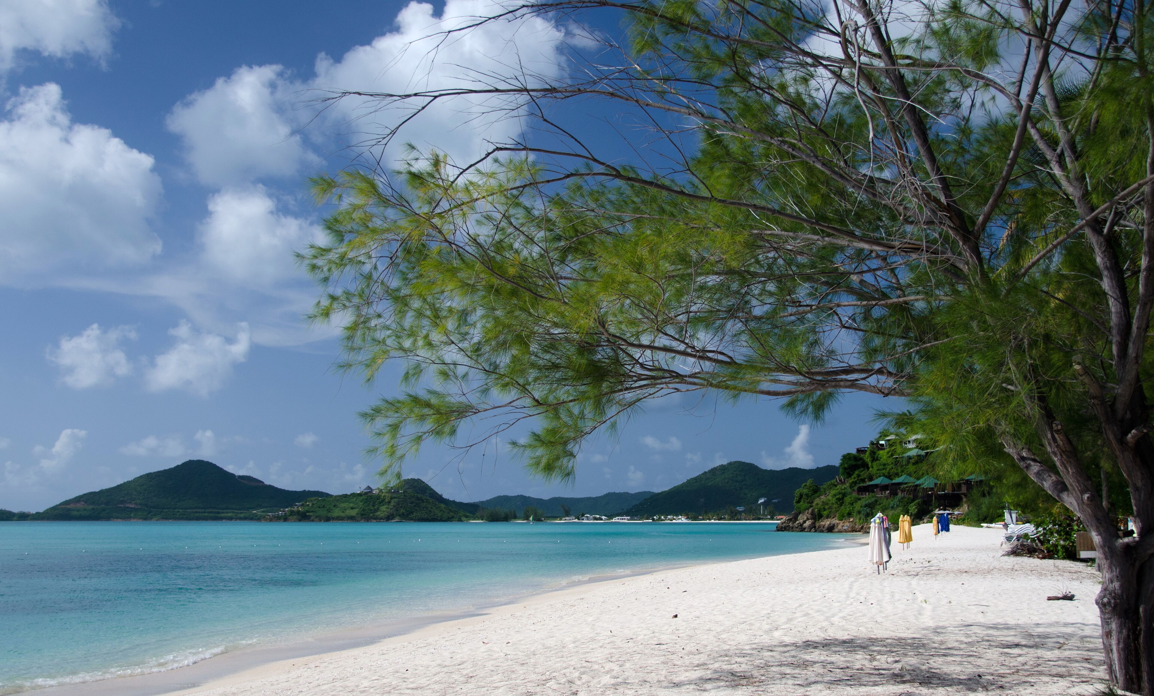A beach with white sand, turquoise water, and green trees.
