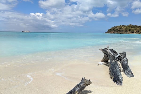 Natural swimming pool