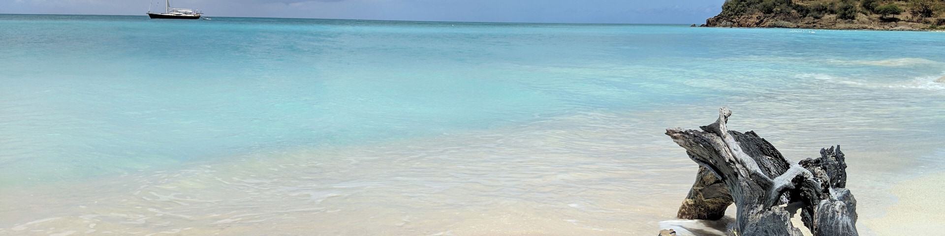 Natural swimming pool