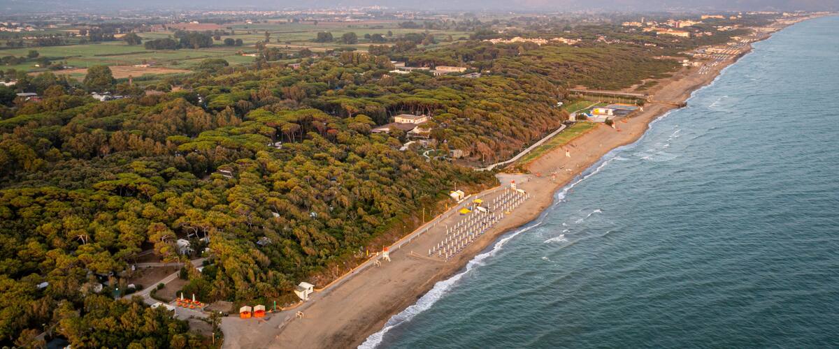 A coastal landscape with a beach, dense forest, and distant mountains.