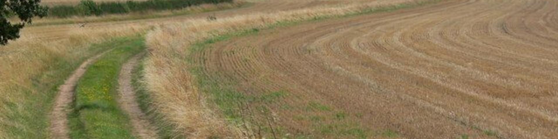 Farm buildings near Measham