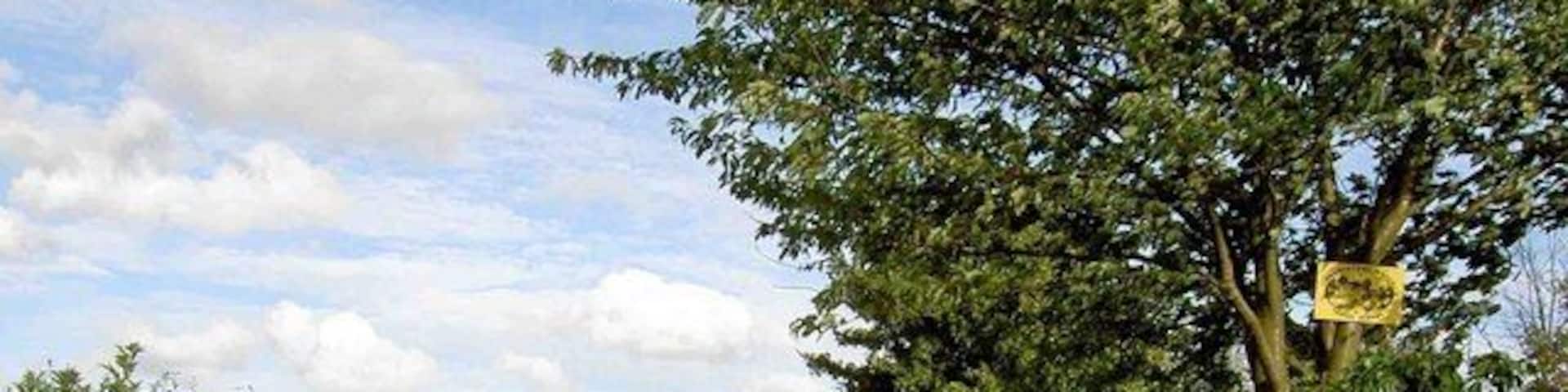 Welcome to Appleby Magna On Bowley's Lane.