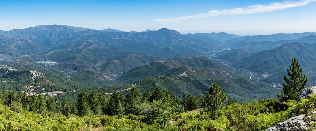 A mountainous landscape with dense forests and a winding road.