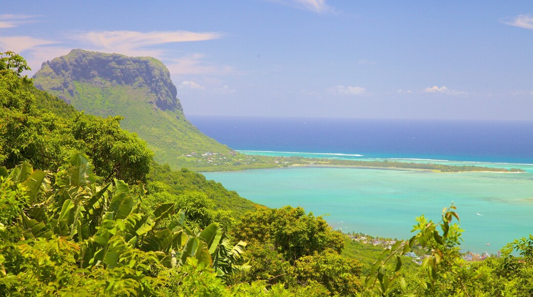 Le Morne som viser fjell, landskap og bukt eller havn