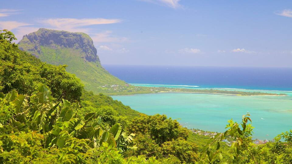 A lush green landscape with a mountain, a turquoise sea, and a small town.