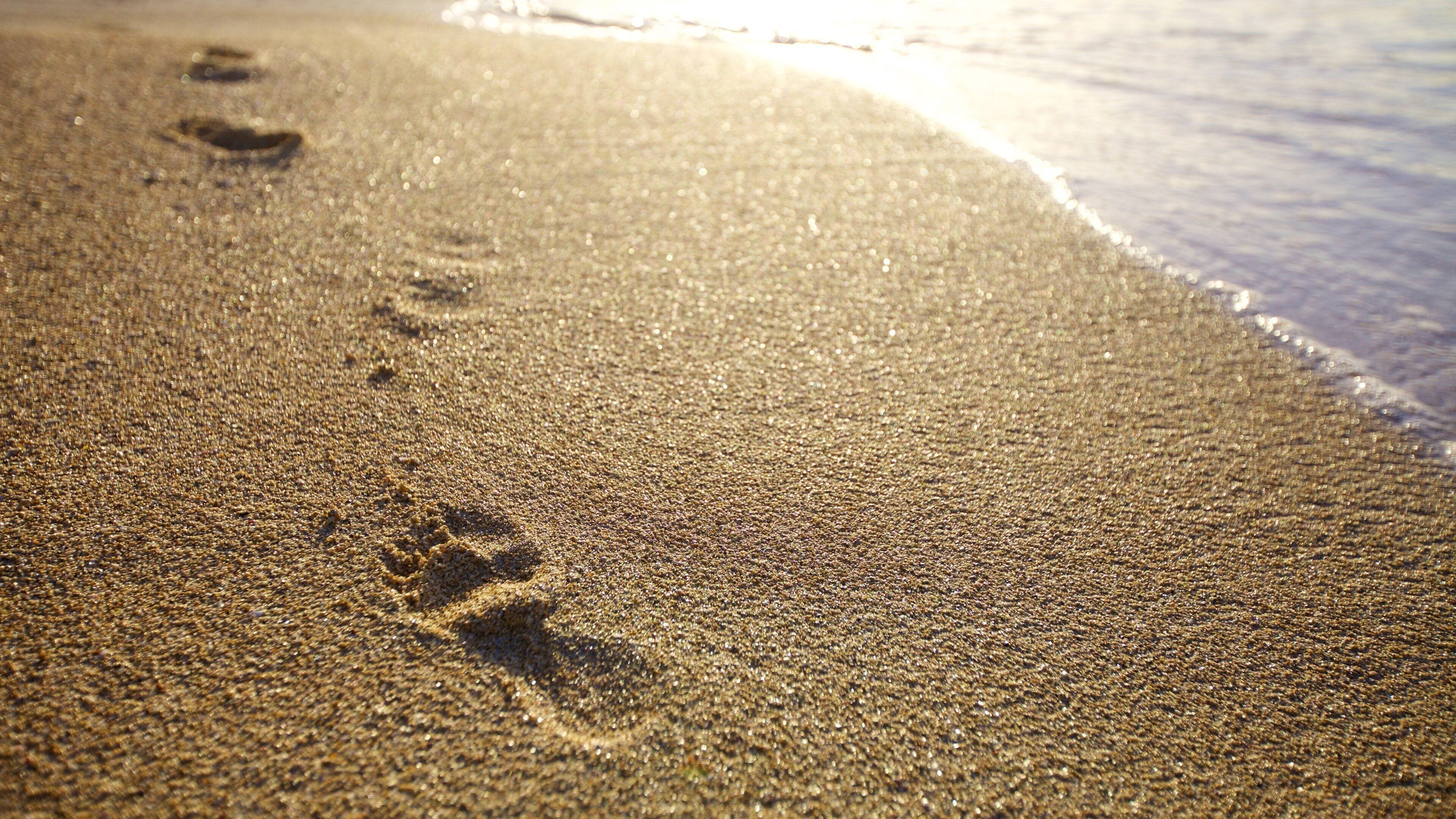 Le Morne which includes a beach