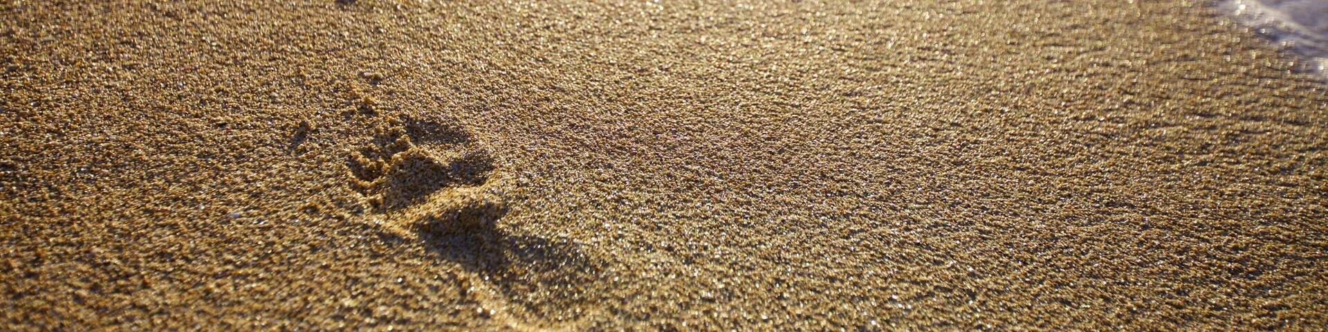 Le Morne which includes a beach