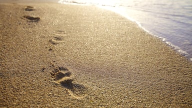 Le Morne which includes a beach