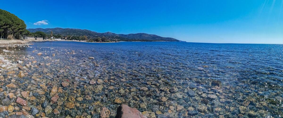 A rocky shoreline with clear water, trees, and distant mountains.