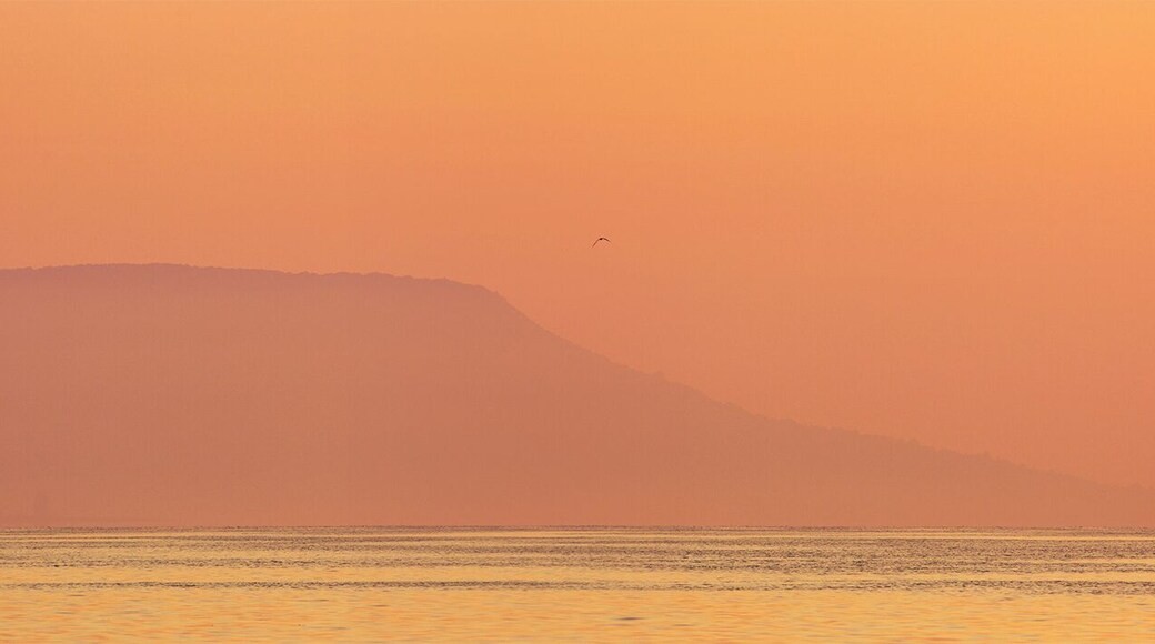 #golden
The Badacsony is a mountain top on the north shore of Lake Balaton. The settlement lying next to the mountain and region also shares the name Badacsony. The entire area is recognized for its wine, with vineyards dating back to Roman times. This basalt mountain is a unique geological relic.