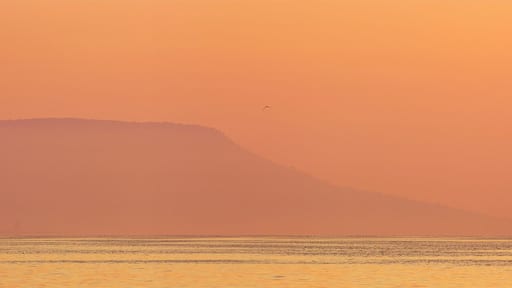 #golden
The Badacsony is a mountain top on the north shore of Lake Balaton. The settlement lying next to the mountain and region also shares the name Badacsony. The entire area is recognized for its wine, with vineyards dating back to Roman times. This basalt mountain is a unique geological relic.
