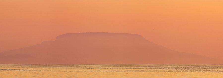 #golden
The Badacsony is a mountain top on the north shore of Lake Balaton. The settlement lying next to the mountain and region also shares the name Badacsony. The entire area is recognized for its wine, with vineyards dating back to Roman times. This basalt mountain is a unique geological relic.