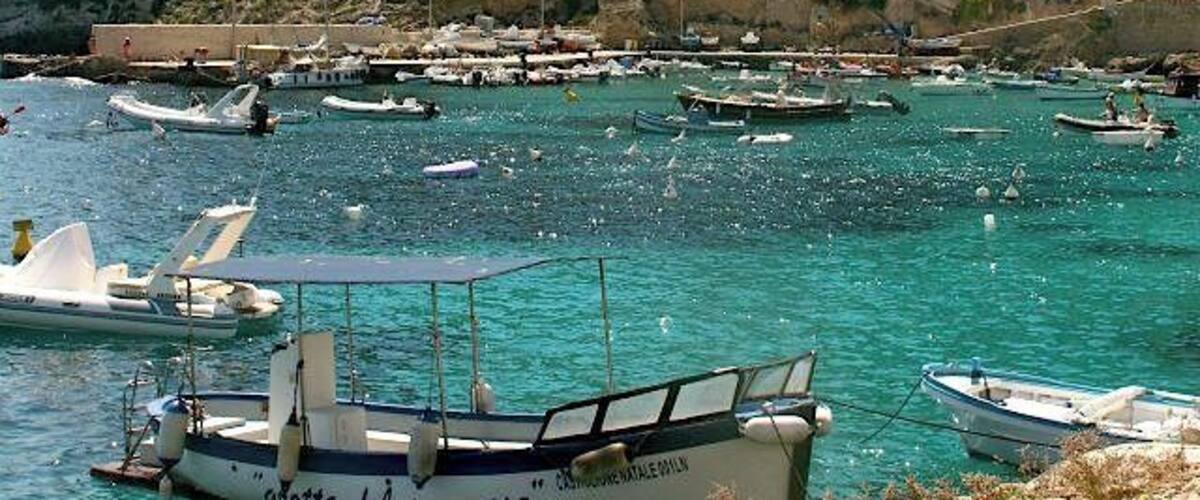 A coastal village with buildings on a hillside and boats docked in the water.