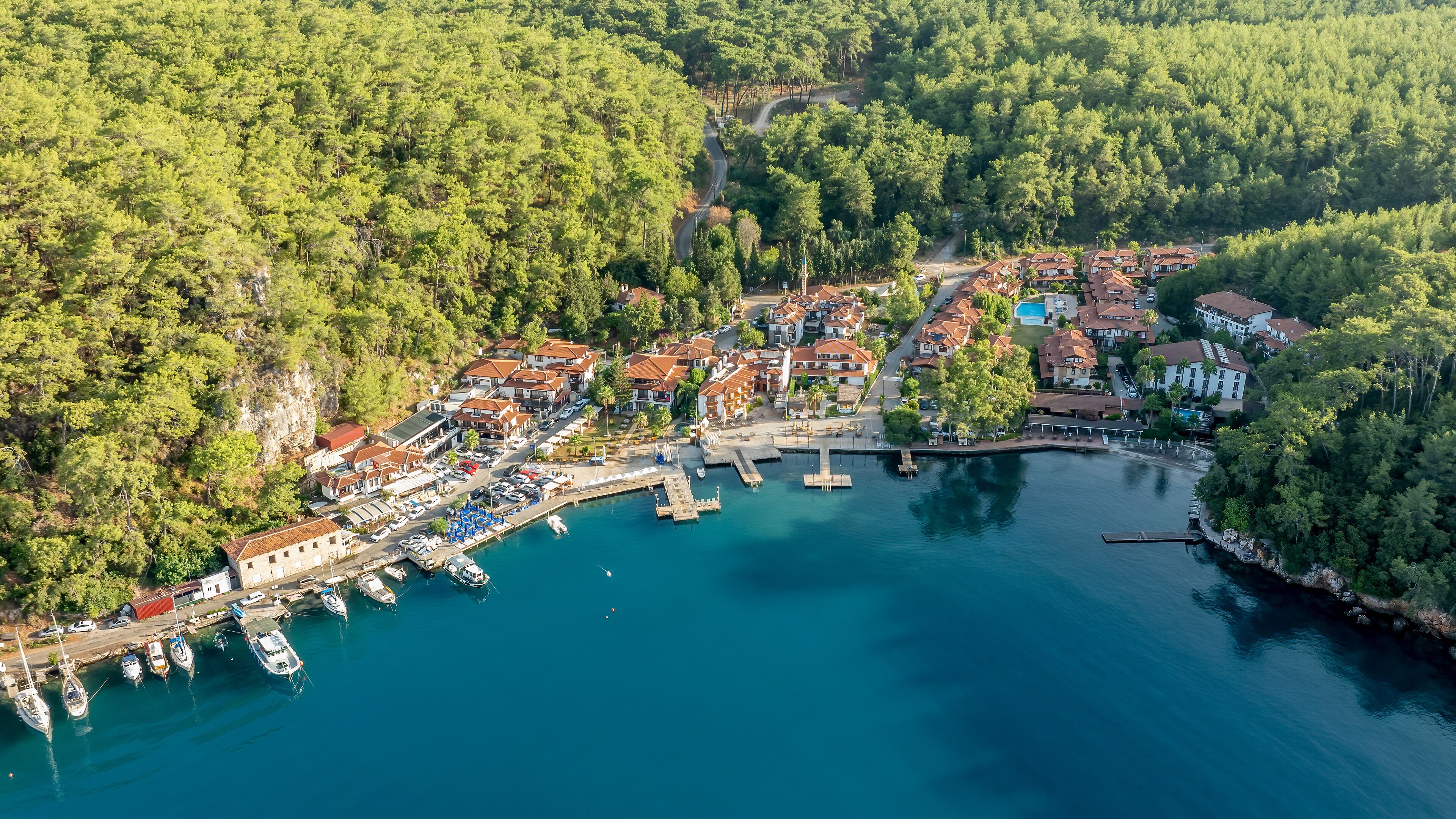 A coastal village with a marina, houses, and dense forested hills.