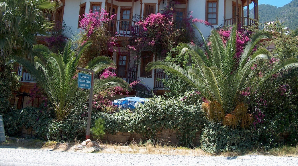 Akyaka, Muğla, Turkey
#green #greenphotosweepstakes