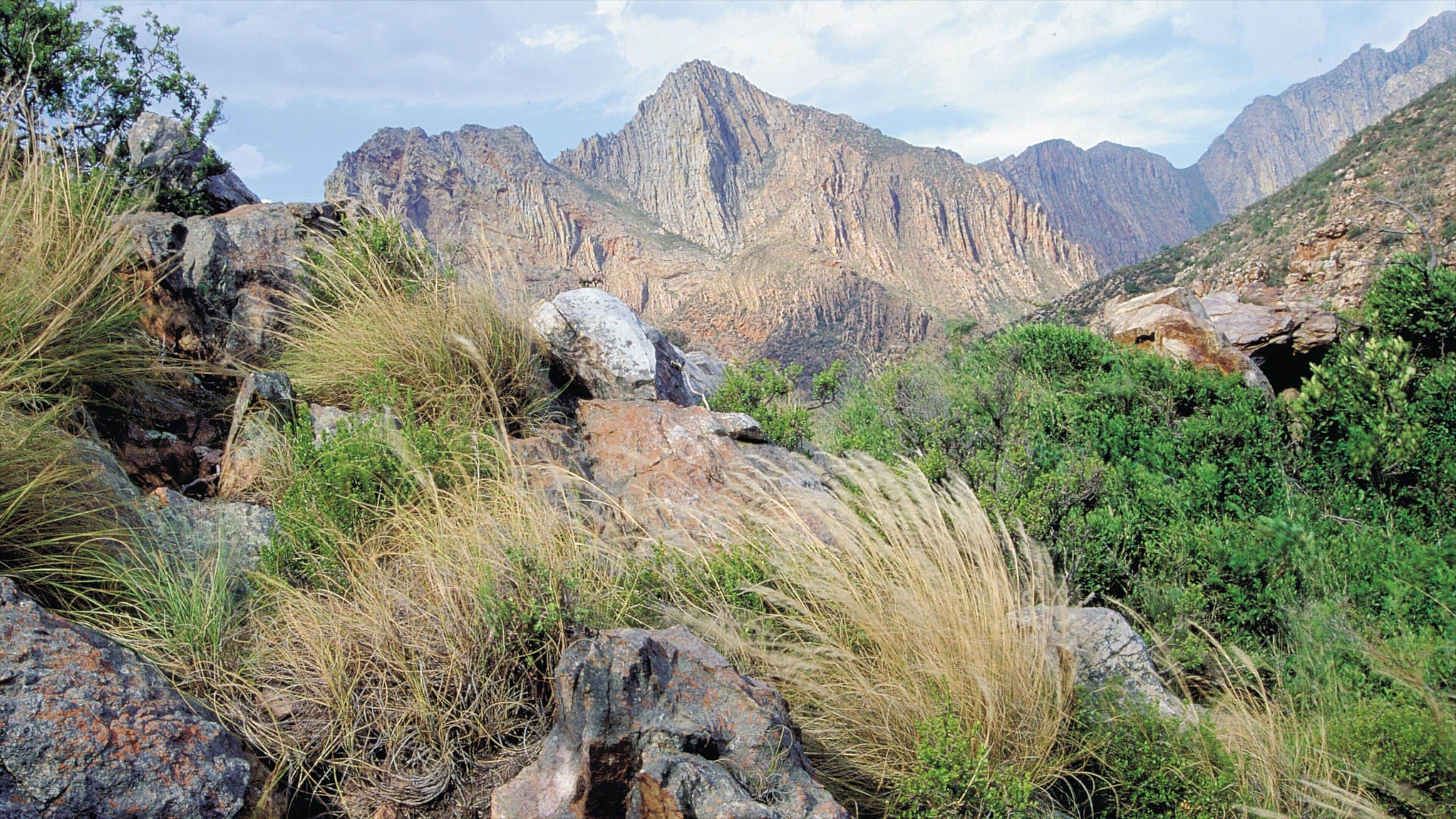 Montagu which includes landscape views and mountains