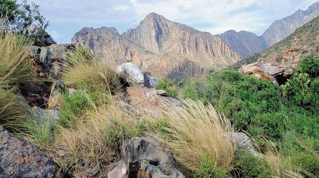 Montagu which includes landscape views and mountains
