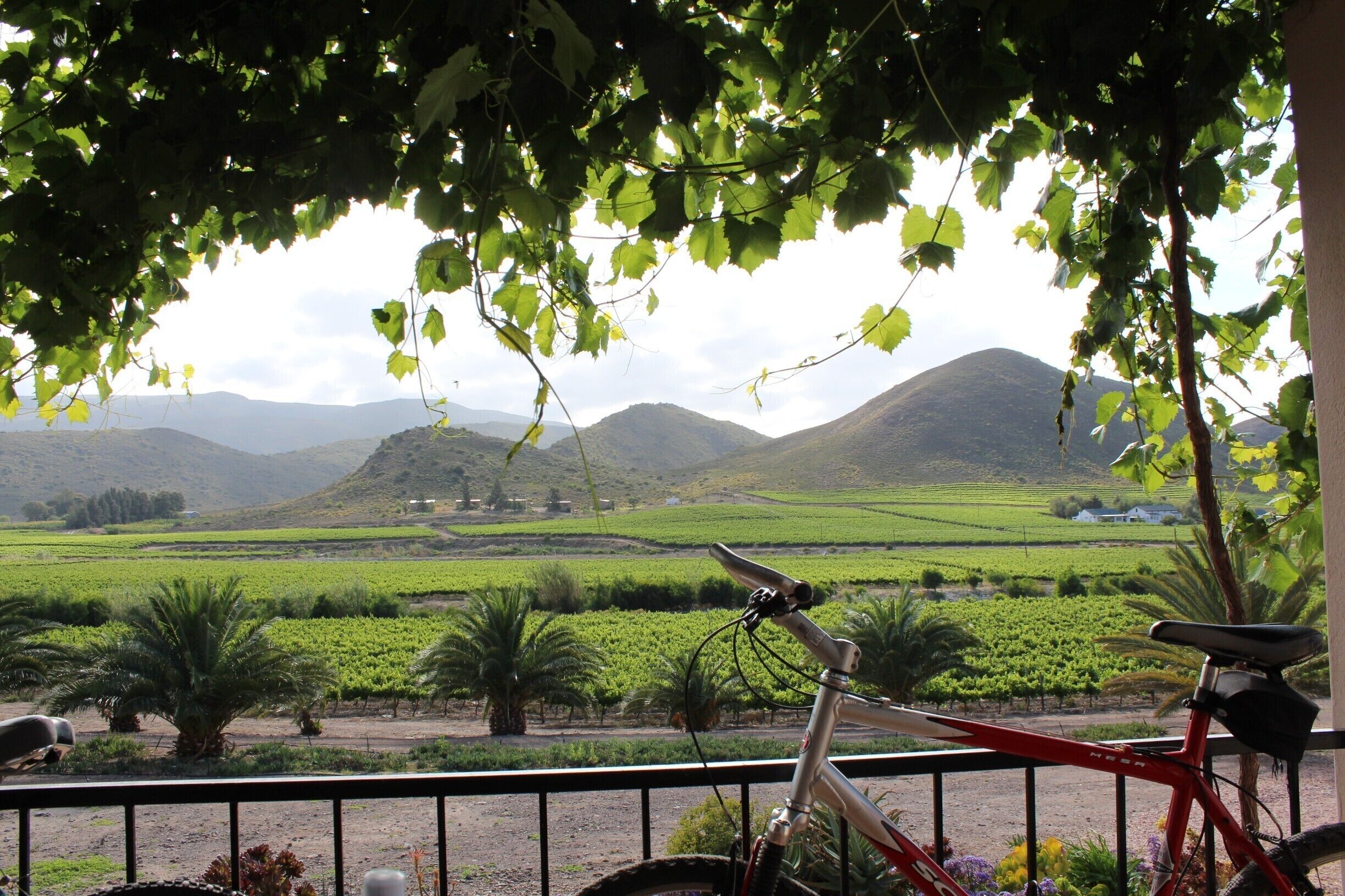 Farm outside Montagu