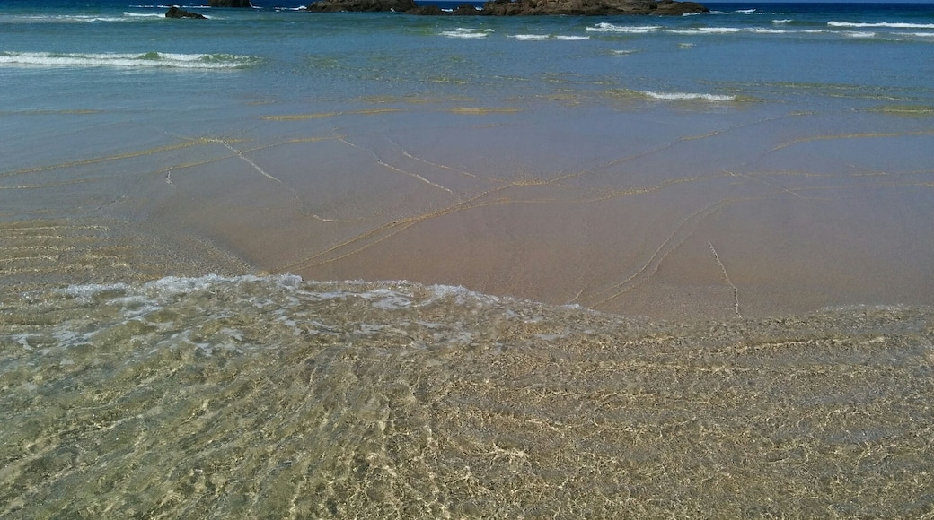 This is a photography of a Site of Community Importance in Spain with the ID: