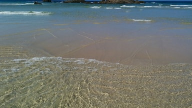 This is a photography of a Site of Community Importance in Spain with the ID: