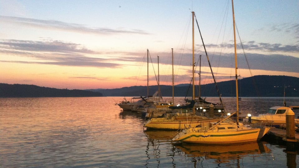Several sailboats docked at a marina during sunset.