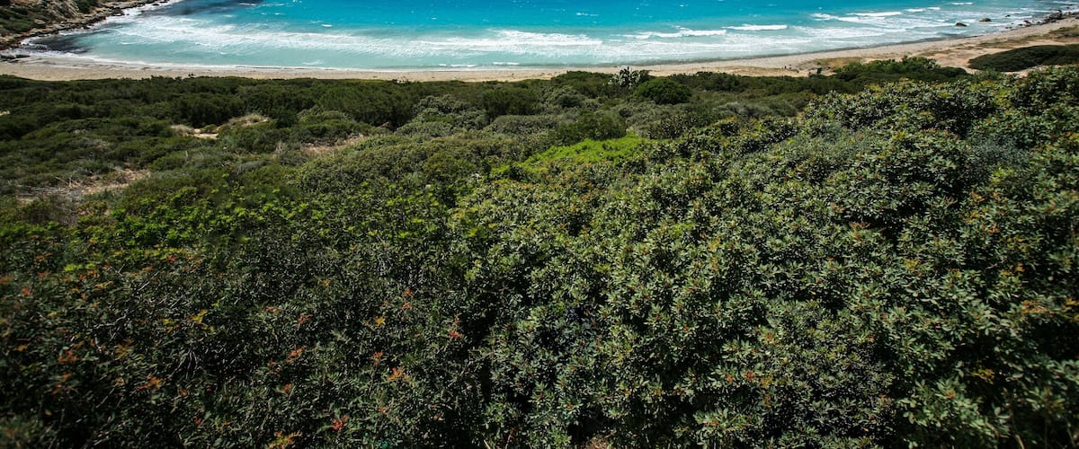 A coastal landscape with a beach, turquoise sea, and dense greenery.