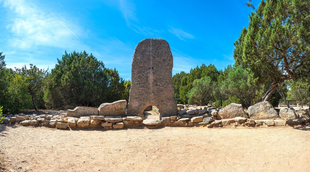 聖安東尼奧加盧拉