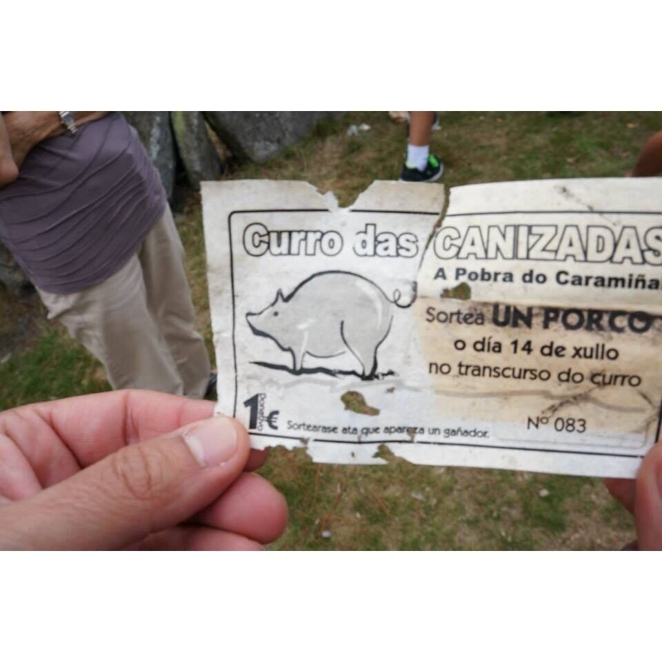 Every year at July 14th in a small stone arena locals capture wild horses and fight to cut off a bit of their tales. The price is a pig... You might have to check on the dates.