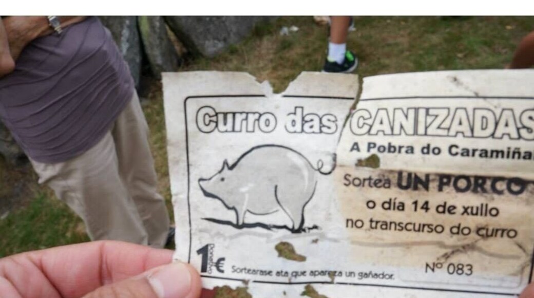 Every year at July 14th in a small stone arena locals capture wild horses and fight to cut off a bit of their tales. The price is a pig... You might have to check on the dates.