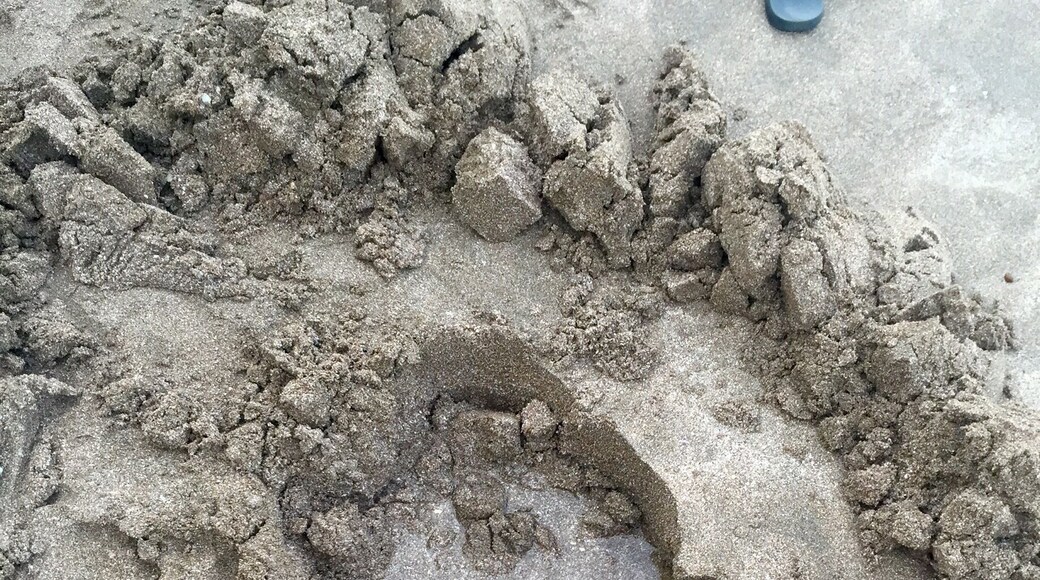 Hot water beach is quite the experience. You have to go 2hours +/- low tide, bring a spade (most places rent them, I was able to get one from my hostel), and you can dig your own hot tub on the beach! However it definitely takes more than one person to dig the right size hole! So make some friends and work together! (This picture is my attempt to dig my own hole and it was so not working... Thankfully a group of awesome people invited me into theirs they had dug already). It's also not a very big area, and only some spots are hot, so you can start digging and have a "bust" of a location. It's very strange and super awesome. And warning it's VERY HOT in places. I near burned myself numerous times with my hands or feet digging deeper in the sand!
Overall though - DO IT. Awesome, can't do most places experience.