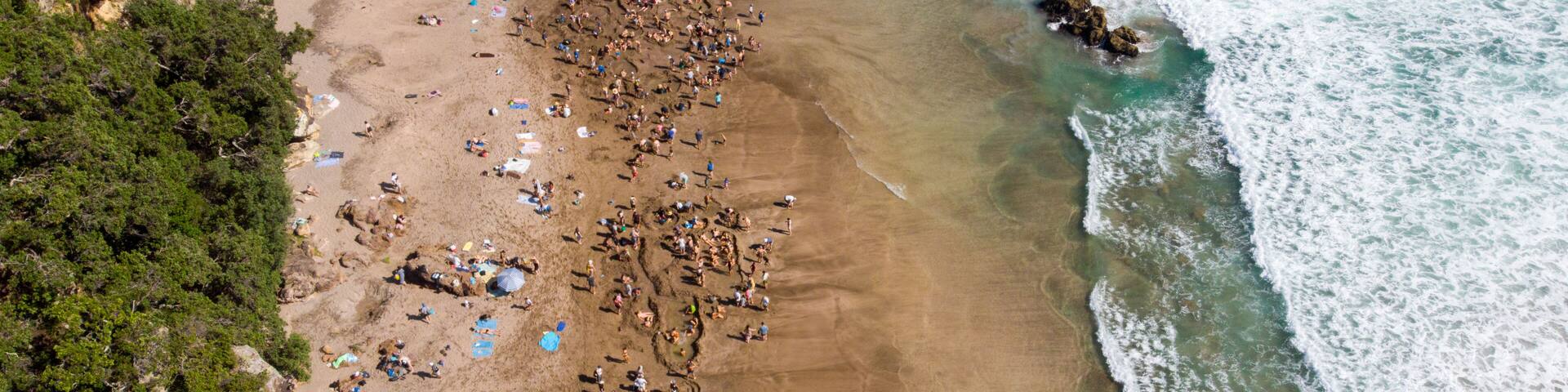Aerial view of the sandy beach bustling with people digging near the rocky shoreline, edged by verdant cliffs, Hot Water Beach, Waikato Region, New Zealand.